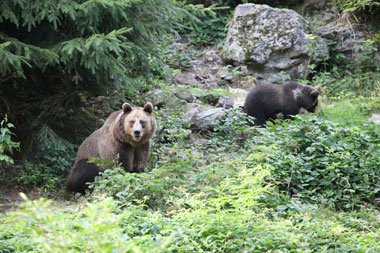 Schliessen von 016.jpg