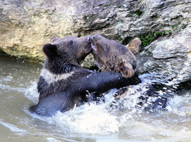 Schliessen von 018.jpg