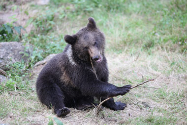 Schliessen von 019.jpg