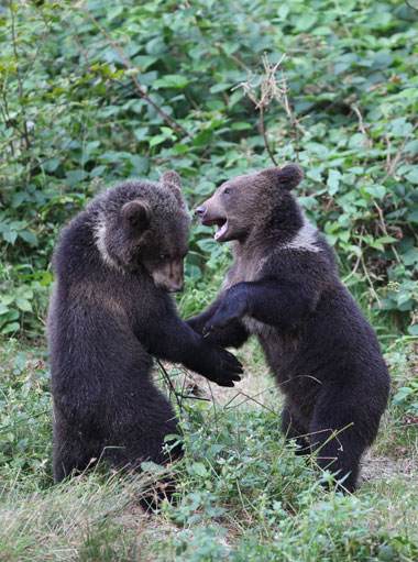 Schliessen von 020.jpg