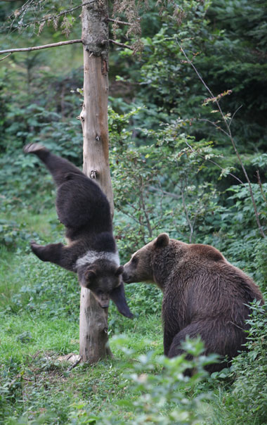 Schliessen von 021.jpg