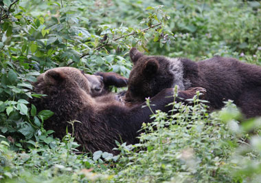 Schliessen von 022.jpg