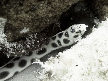 Schliessen von 040.JPG