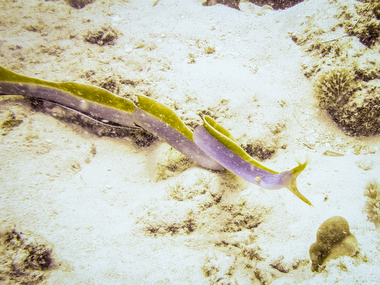 Schliessen von 041.JPG