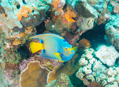 Schliessen von 051.JPG