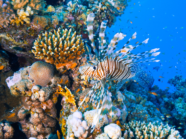 Schliessen von 057.JPG