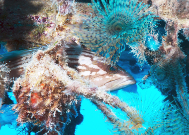 Schliessen von 063.JPG