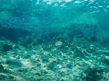 Schliessen von 065.JPG