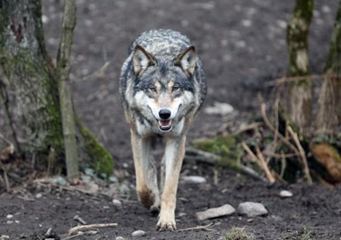 Klick für Originalgröße :023.jpg