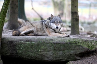 Klick für Originalgröße :024.jpg