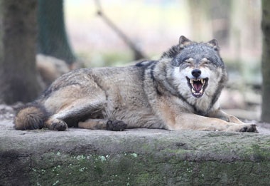 Klick für Originalgröße :025.jpg