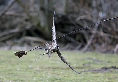 Klick für Originalgröße :026.jpg