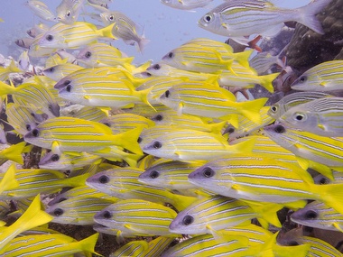 Klick für Originalgröße :045.JPG