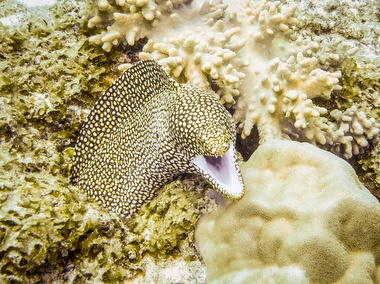 Klick für Originalgröße :046.JPG