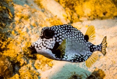 Klick für Originalgröße :050.JPG