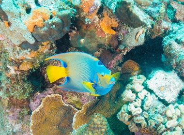 Klick für Originalgröße :051.JPG