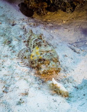 Klick für Originalgröße :052.JPG