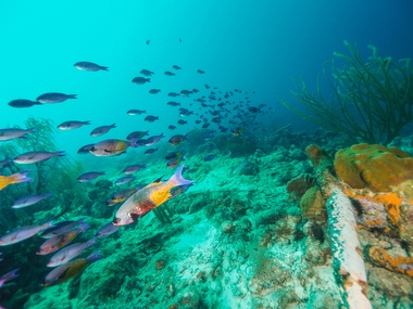 Klick für Originalgröße :056.JPG