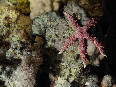 Klick für Originalgröße :060.JPG